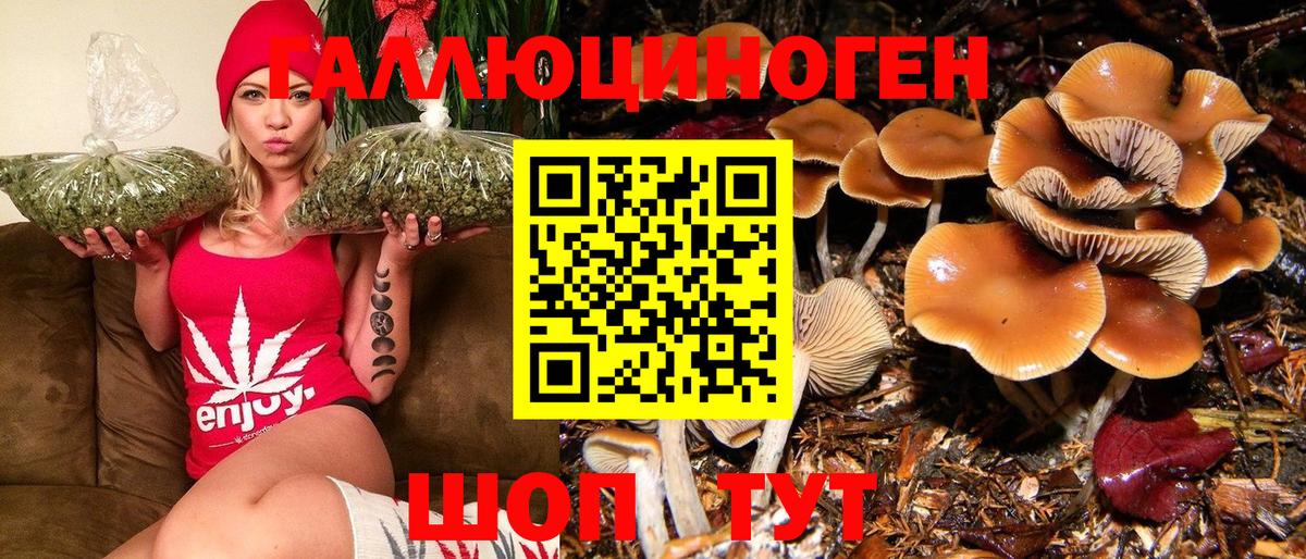 Галлюциногенные грибы GOLDEN TEACHER  Вход с VPN  Галлюциногенные грибы Cubensis  Уссурийск 